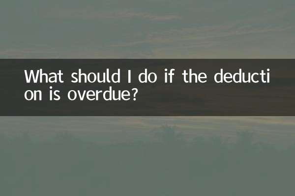 공제 기한이 연체된 경우 어떻게 해야 합니까?