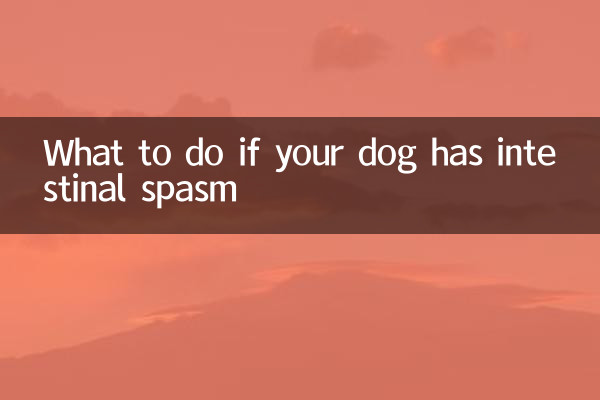 Que faire si votre chien a des spasmes intestinaux