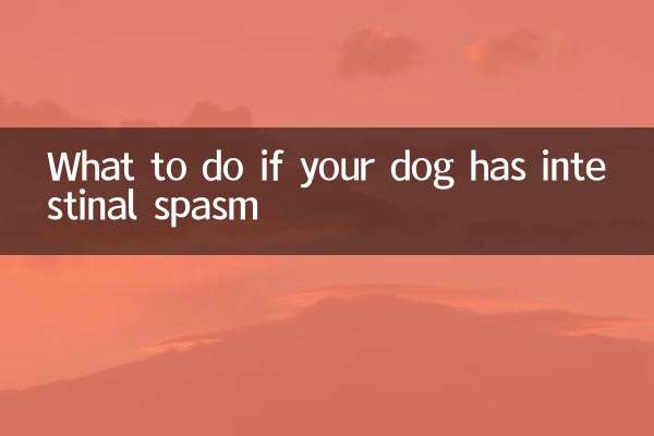 Que faire si votre chien a des spasmes intestinaux