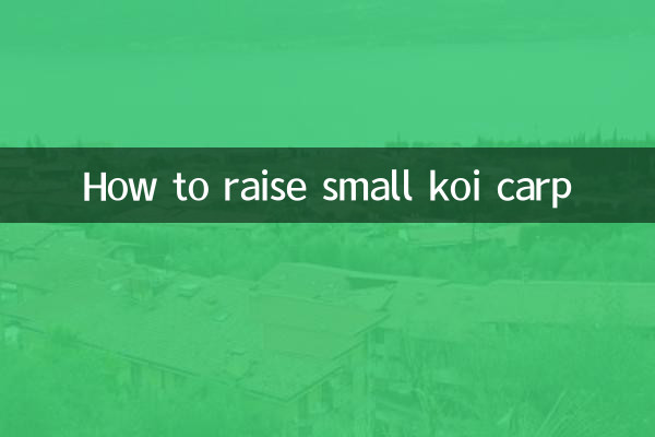 Comment élever des petites carpes koi