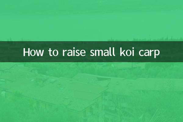 Comment élever des petites carpes koi