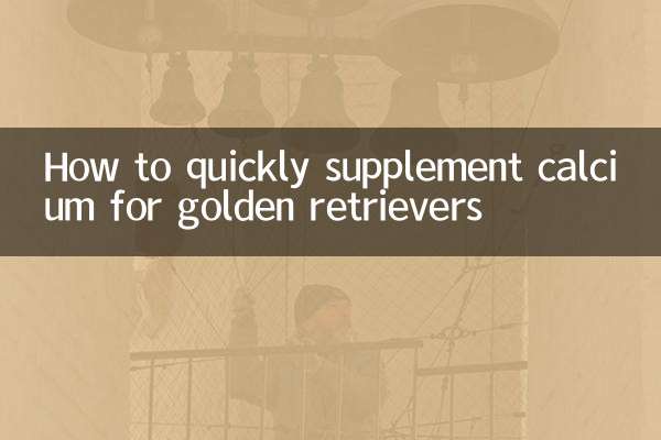 How to quickly supplement calcium for golden retrievers