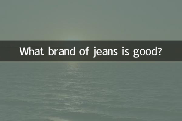 어떤 브랜드의 청바지가 좋은가요?