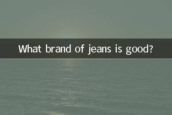 어떤 브랜드의 청바지가 좋은가요?