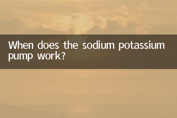 Quand fonctionne la pompe sodium-potassium ?