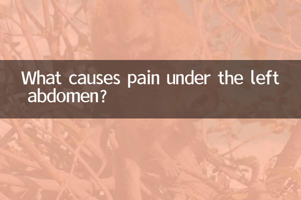 Was verursacht Schmerzen unter dem linken Bauch?