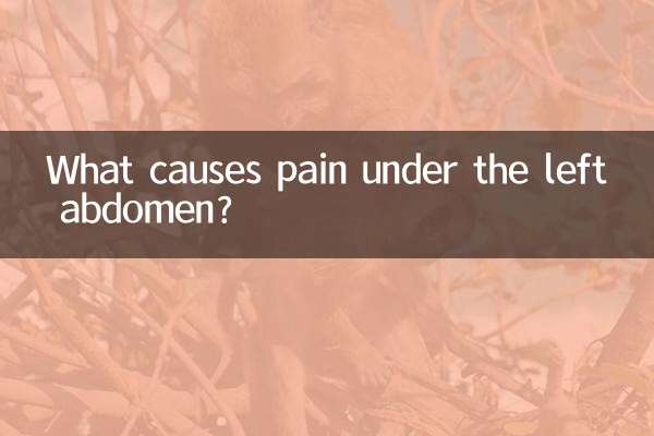 Was verursacht Schmerzen unter dem linken Bauch?