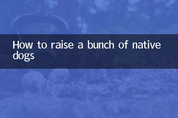 देशी कुत्तों का झुंड कैसे पालें