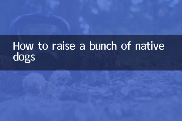 Как вырастить кучу местных собак