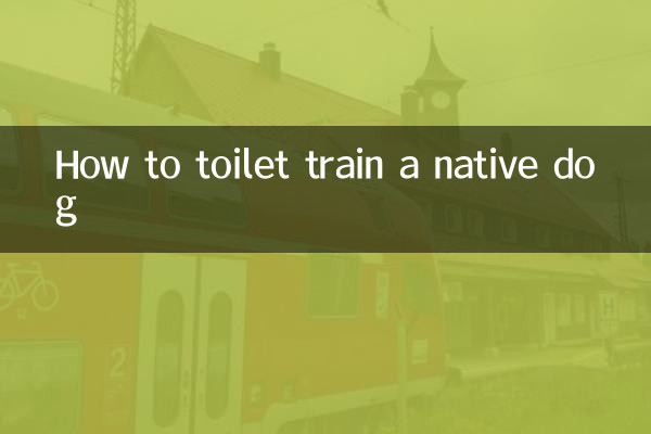 Cómo enseñar a ir al baño a un perro nativo