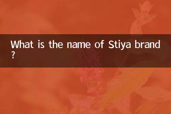 stiya品牌叫什麼