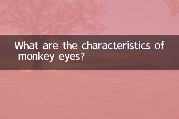 Quais são as características dos olhos de macaco?