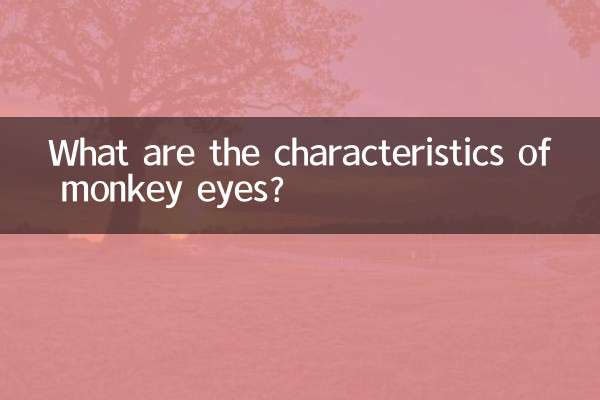 Quais são as características dos olhos de macaco?