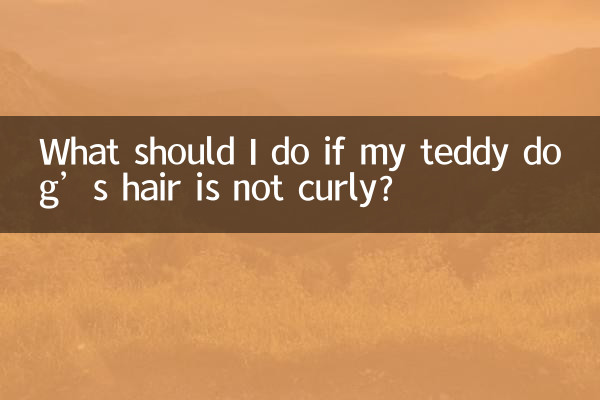 यदि मेरे टेडी कुत्ते के बाल घुंघराले नहीं हैं तो मुझे क्या करना चाहिए?