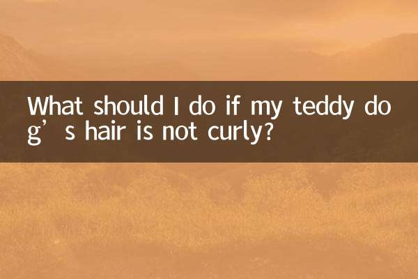 यदि मेरे टेडी कुत्ते के बाल घुंघराले नहीं हैं तो मुझे क्या करना चाहिए?