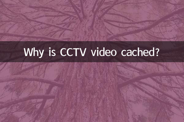 সিসিটিভি ভিডিও ক্যাশে কেন?