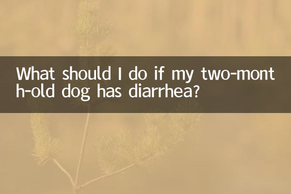 What should I do if my two-month-old dog has diarrhea?
