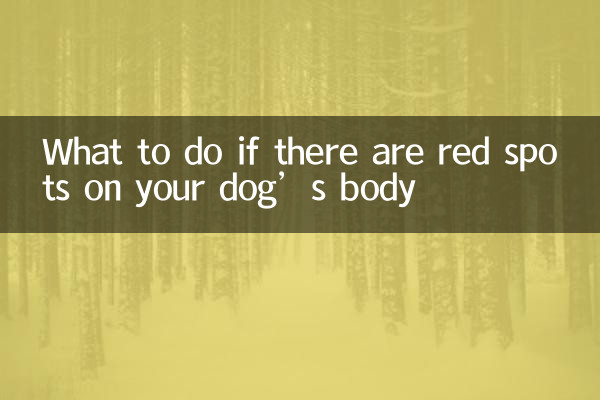What to do if there are red spots on your dog’s body