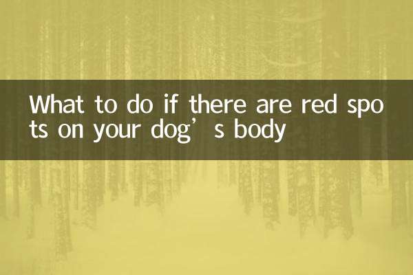 What to do if there are red spots on your dog’s body