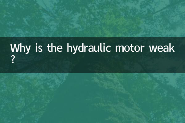유압 모터가 약한 이유는 무엇입니까?