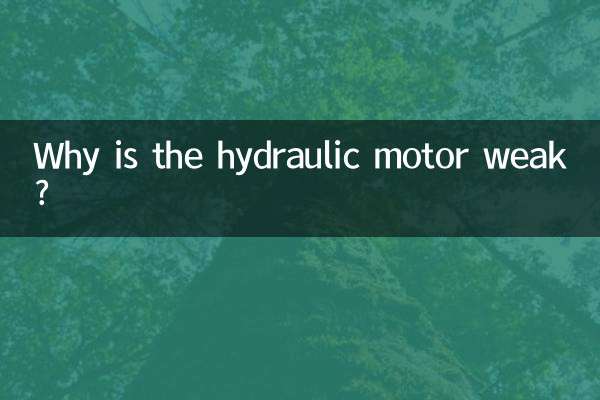 유압 모터가 약한 이유는 무엇입니까?