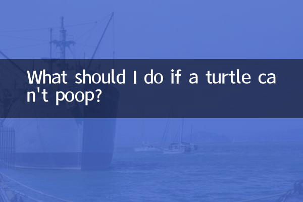烏龜拉不出屎怎麼辦