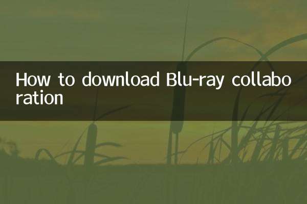 Blu-ray 협업 다운로드 방법