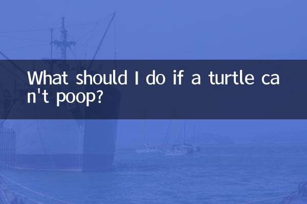 Что делать, если черепаха не может покакать?