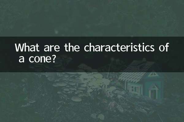 What are the characteristics of a cone?