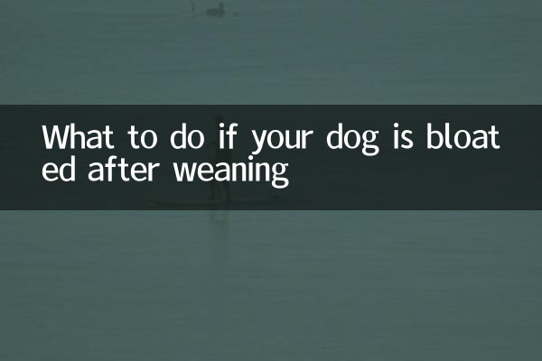 O que fazer se seu cachorro ficar inchado após o desmame