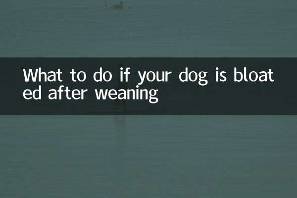 আপনার কুকুর দুধ ছাড়ার পরে ফুলে গেলে কি করবেন