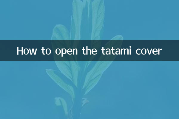 畳カバーの開け方
