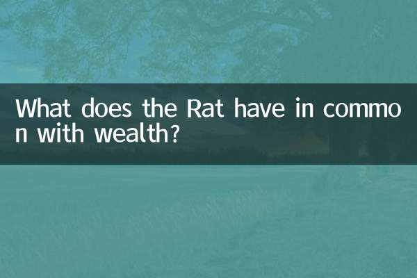 쥐와 부의 공통점은 무엇입니까?