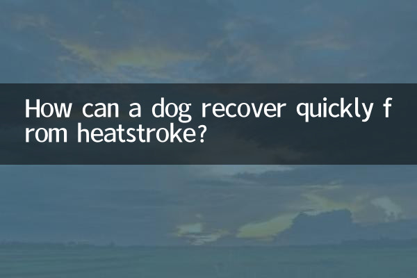 개가 열사병에 걸렸을 때 어떻게 빨리 회복할 수 있나요?