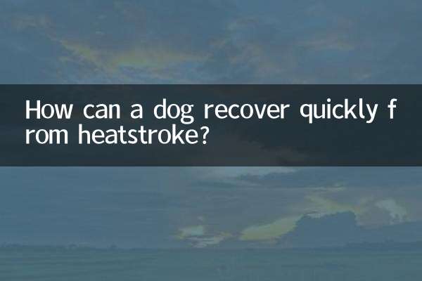 개가 열사병에 걸렸을 때 어떻게 빨리 회복할 수 있나요?