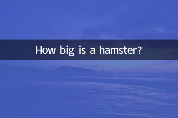 हम्सटर कितना बड़ा है?