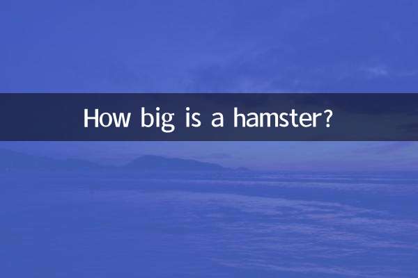 仓鼠多大怎么看