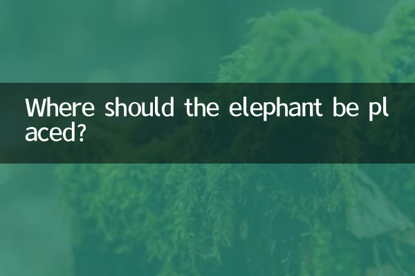 大象摆在什么位置好