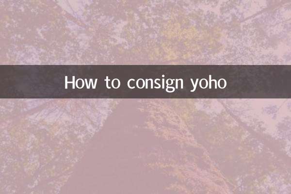 كيفية شحن يوهو