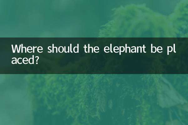 大象擺在什麼位置好