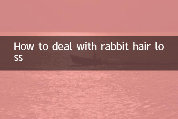 How to deal with rabbit hair loss