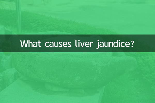 What causes liver jaundice?