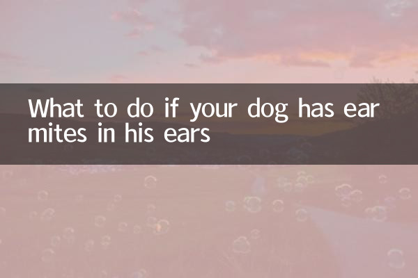 اگر آپ کے کتے کے کانوں میں کان کے ذرات ہوں تو کیا کریں