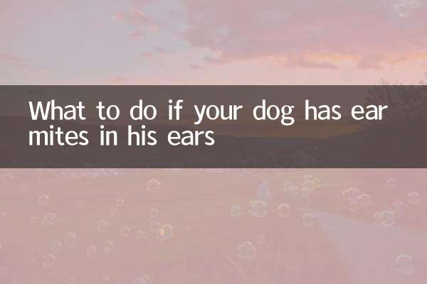 犬の耳に耳ダニがいる場合の対処法