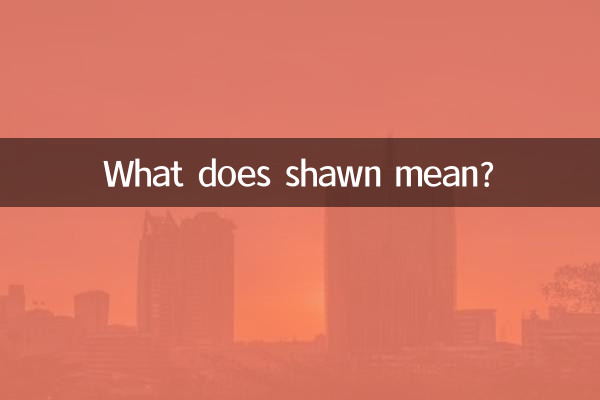 ショーンってどういう意味ですか？