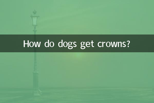 狗狗冠狀怎麼來的