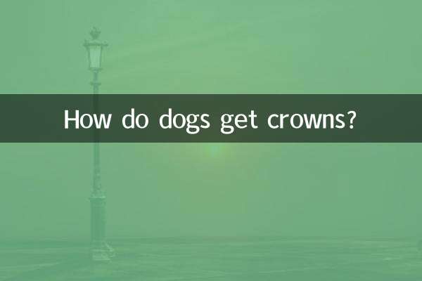 كيف تحصل الكلاب على التيجان؟