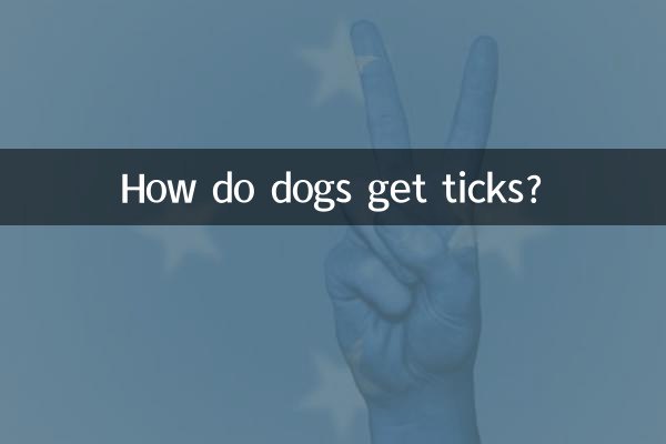 سگ ها چگونه کنه می گیرند؟