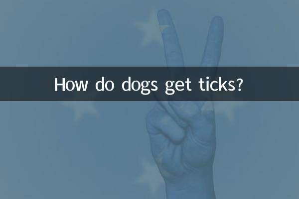 犬はどうやってダニに感染するのでしょうか？