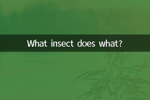 Quale insetto fa cosa?
